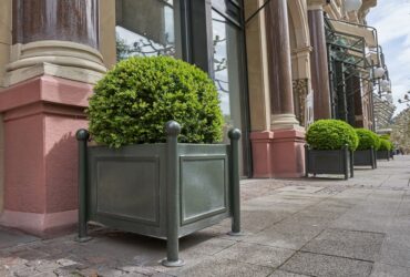 potted plants street against building Donice miejskie jako element ekologicznego miasta