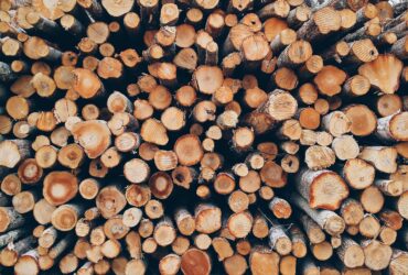 wood 1868104 1280 Maszyny do obróbki drewna – klucz do precyzyjnego rzemiosła