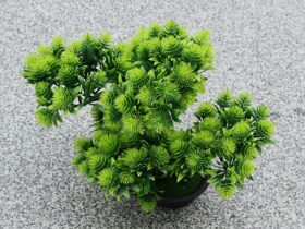 everest louis zp3dwuix1iw unsplash Gdzie kupić sztuczne rośliny, które sąsiedzi pomylą z prawdziwymi?